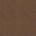 Bison-Horn