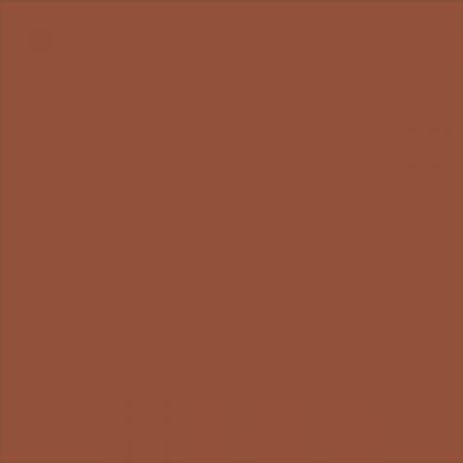 A solid reddish-brown or rust-colored square background with no text or other visual elements.