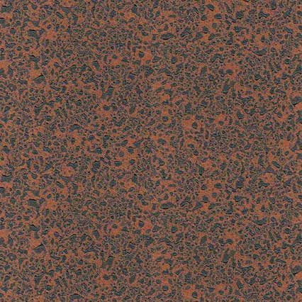 A mottled surface texture with reddish-brown and dark speckles scattered across the entire area, resembling granite or similar stone material.