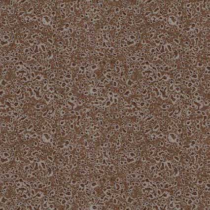 A textured brown surface with a mottled, granular pattern resembling cork, leather, or another natural material with small irregular speckles and variations in tone throughout.