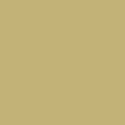 A solid beige or tan colored background with no text, objects, or other visual elements.