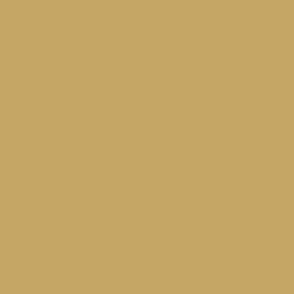 A solid golden-brown or tan colored square background with no text or other visual elements.
