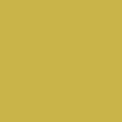 A solid golden yellow or mustard colored square filling the entire frame.