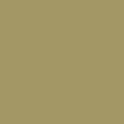 A solid olive green or khaki colored background with no text, objects, or other visual elements.