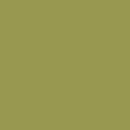 A solid olive green or yellowish-green colored rectangle fills the entire frame.