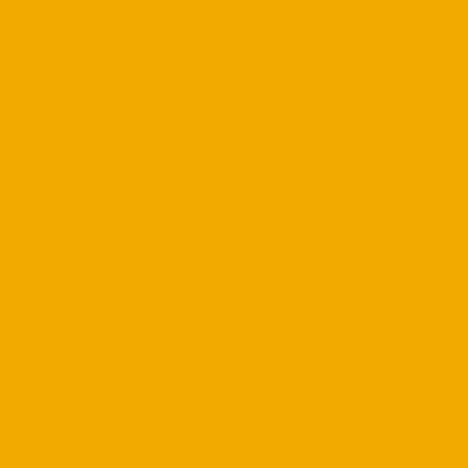 A solid bright orange or golden yellow rectangular color block with no text or other visual elements.