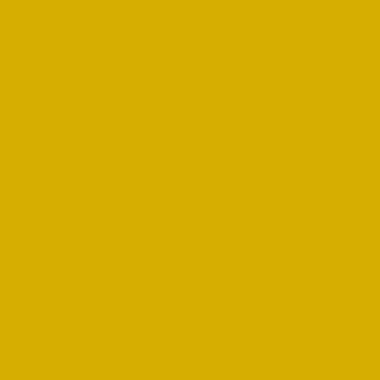 A solid golden yellow color fills the entire frame, creating a uniform bright yellow background.