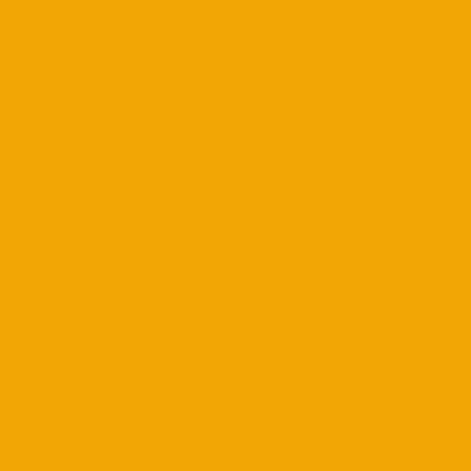 A solid orange-yellow rectangular background with no text or other visual elements.