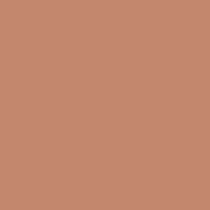 A solid, warm terracotta or burnt orange colored background with no text or other visual elements.