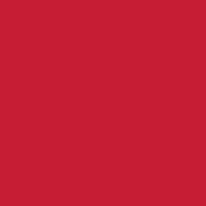 A solid red rectangular background with no text or other visual elements.