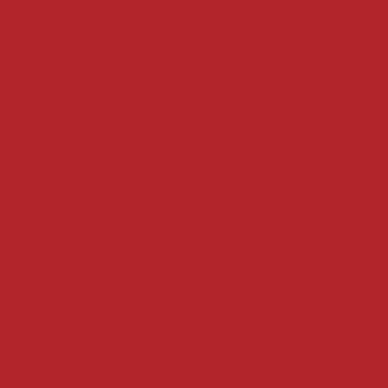 A solid red rectangle or square with no visible text, objects, or other distinguishing features.