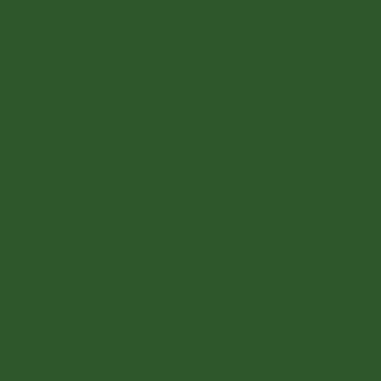 A solid dark green rectangular background with no text or other visual elements.