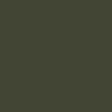 A solid olive green or dark khaki colored background with no visible text, objects, or other elements.