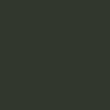 A solid dark olive green or forest green colored rectangle fills the entire frame.