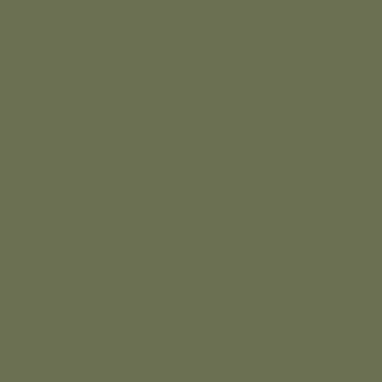 A solid olive green or sage green colored background with no visible text, objects, or other elements.
