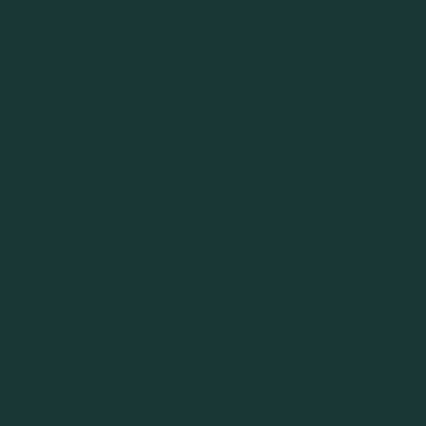 A solid dark green or teal colored rectangle with no visible text, images, or other content.