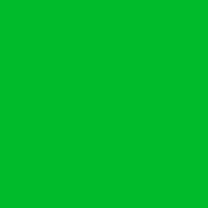 A solid bright green rectangular color block or background.