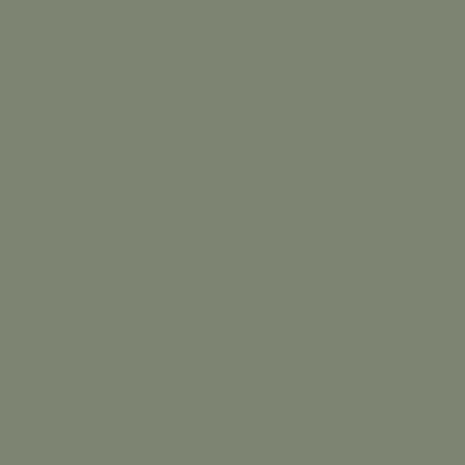 A solid muted olive green or sage green colored rectangle fills the entire frame.