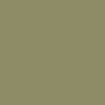 A solid olive green or sage colored rectangular background with no text or other visual elements.