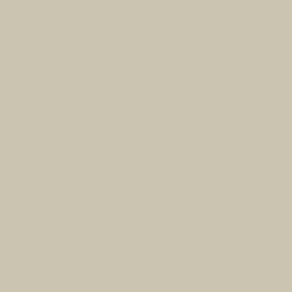 A plain beige or tan colored background with a smooth, uniform texture.