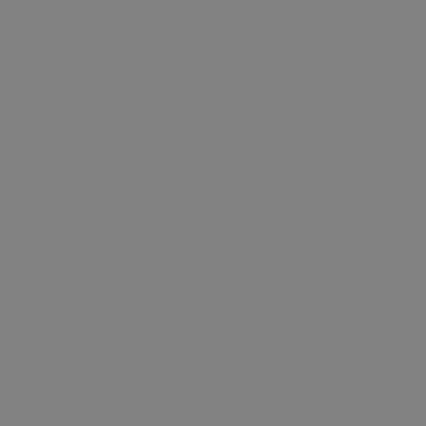 A solid gray rectangular background with no visible text, objects, or other distinguishable features.