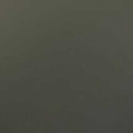 A solid olive green or dark grayish-green colored background with no visible text, objects, or other elements.