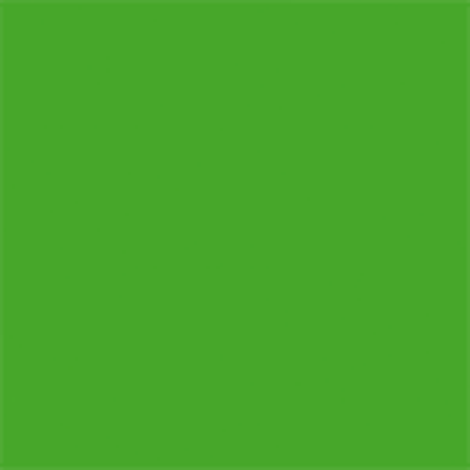 A solid bright green rectangular color block with no text or other visual elements.
