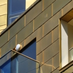 Proteus Shingles