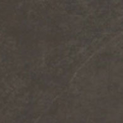 A dark, mottled surface with subtle variations in brown and gray tones, appearing to have a textured or weathered quality with faint linear markings throughout.