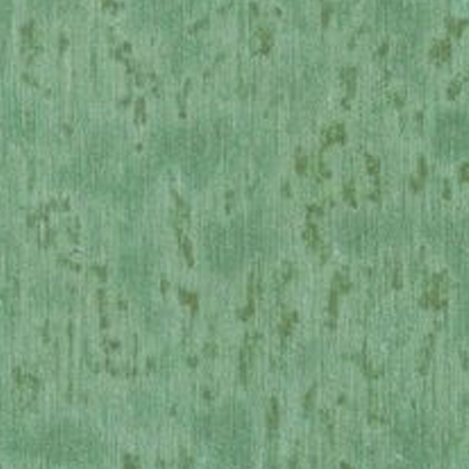 A textured green surface with natural variations and subtle darker markings throughout, resembling weathered or aged material with an organic, mottled appearance.