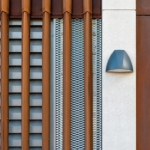Bronze Fins
