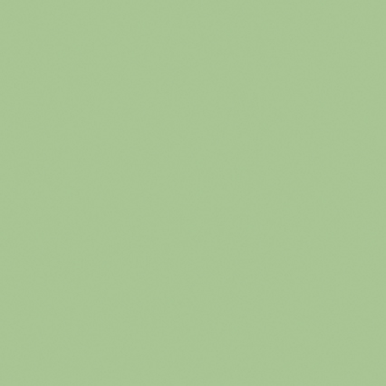 Pistachio Ceramic