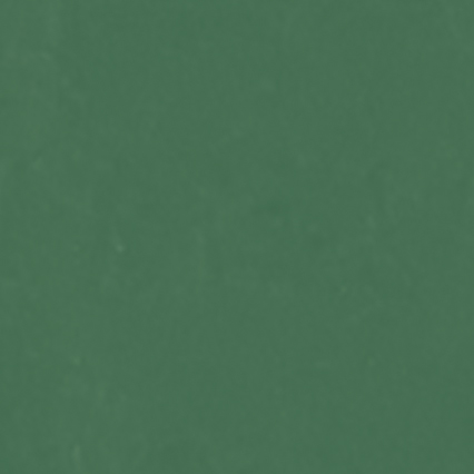 A solid forest green colored rectangle or square filling the entire frame.