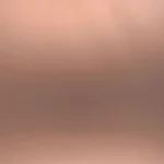 631